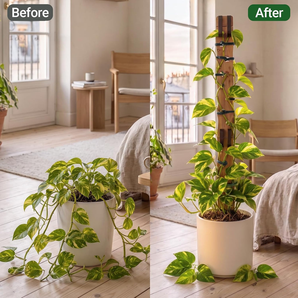 2 Sets Wooden Extendable Plant Trellis Indoor Climbing Houseplants, 2-in-1 Expandable Plants Support, Moss Pole