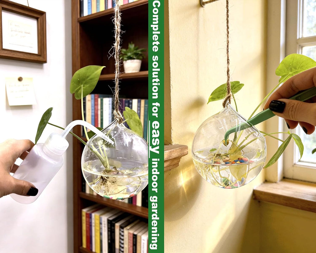 3 Pack Hanging Propagation Stations with Care Tool Kit (Squeeze Bottle & Tweezers Included), Glass Wall Planters for