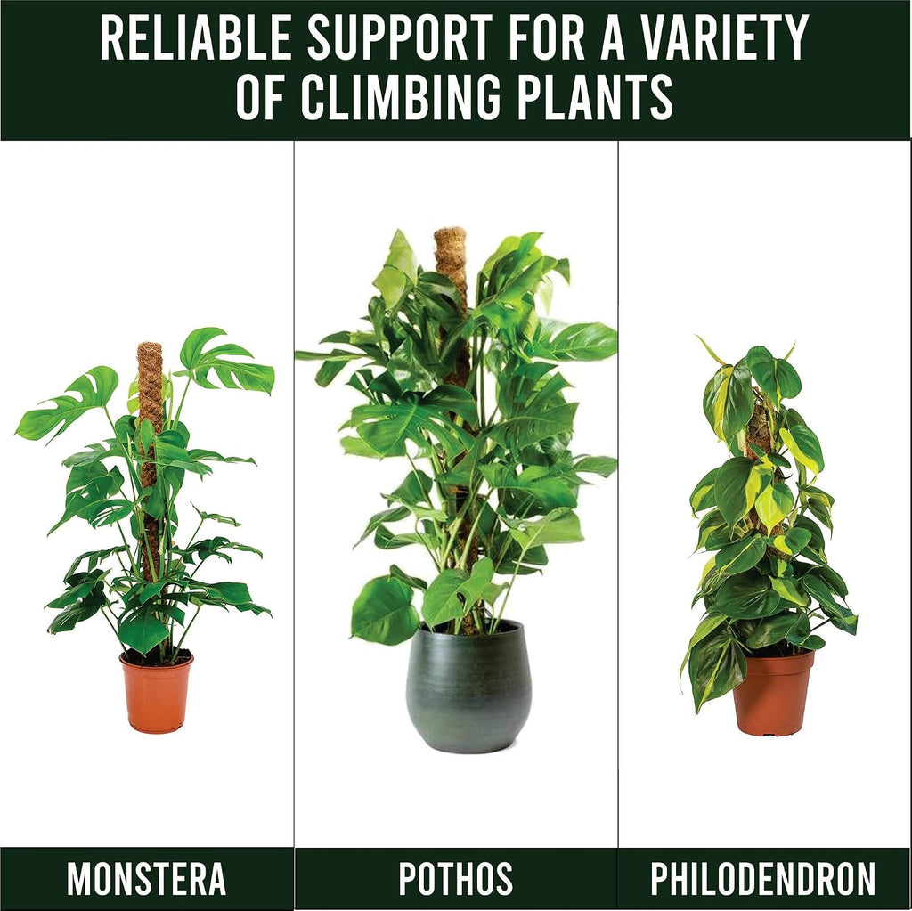 Moss Pole Pack of 4 – 50CM Monstera Plant Support | Natural Coco Coir Plant Poles for Indoor Plants | Extendable Moss