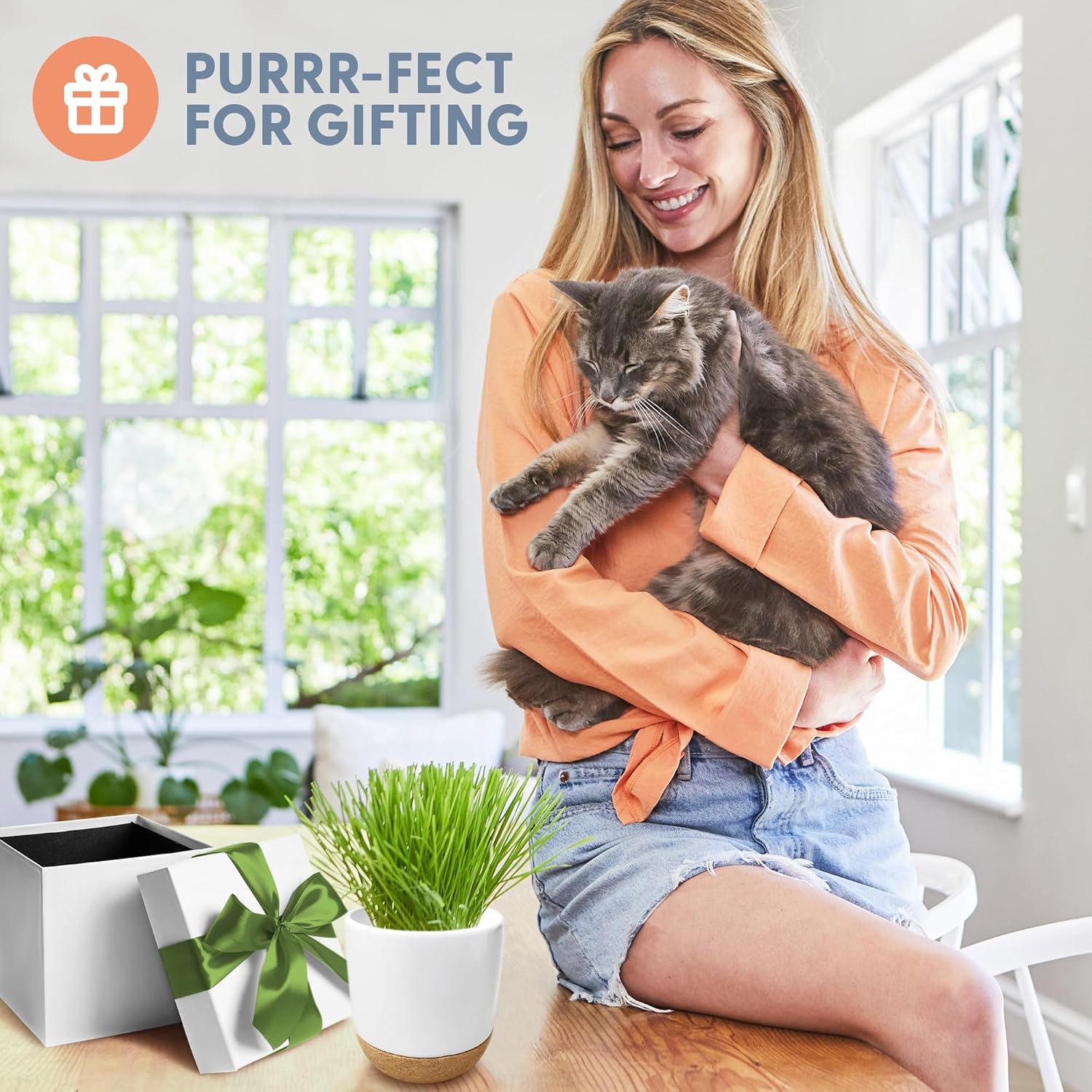 The Cat Ladies Cat Grass for Indoor Cats Kit with Organic Cat Grass Seed Mix, Soil and Ceramic & Cork Planter, Natural