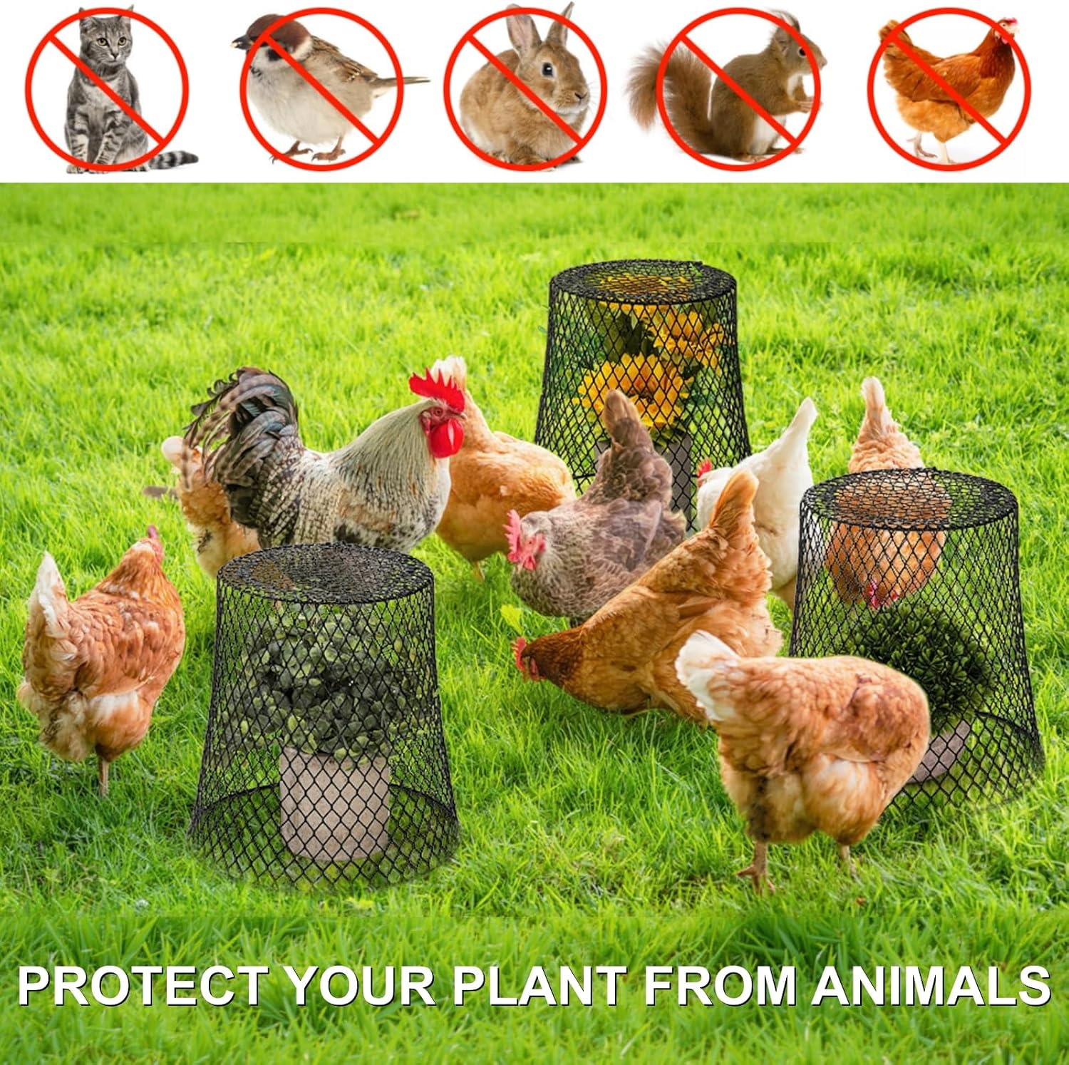 SOUJOY 10 Pcs 8"x8" Chicken Wire Plant Protect Covers, Metal Garden Cloche | UV-Resistant, Rustproof Metal Mesh with 30