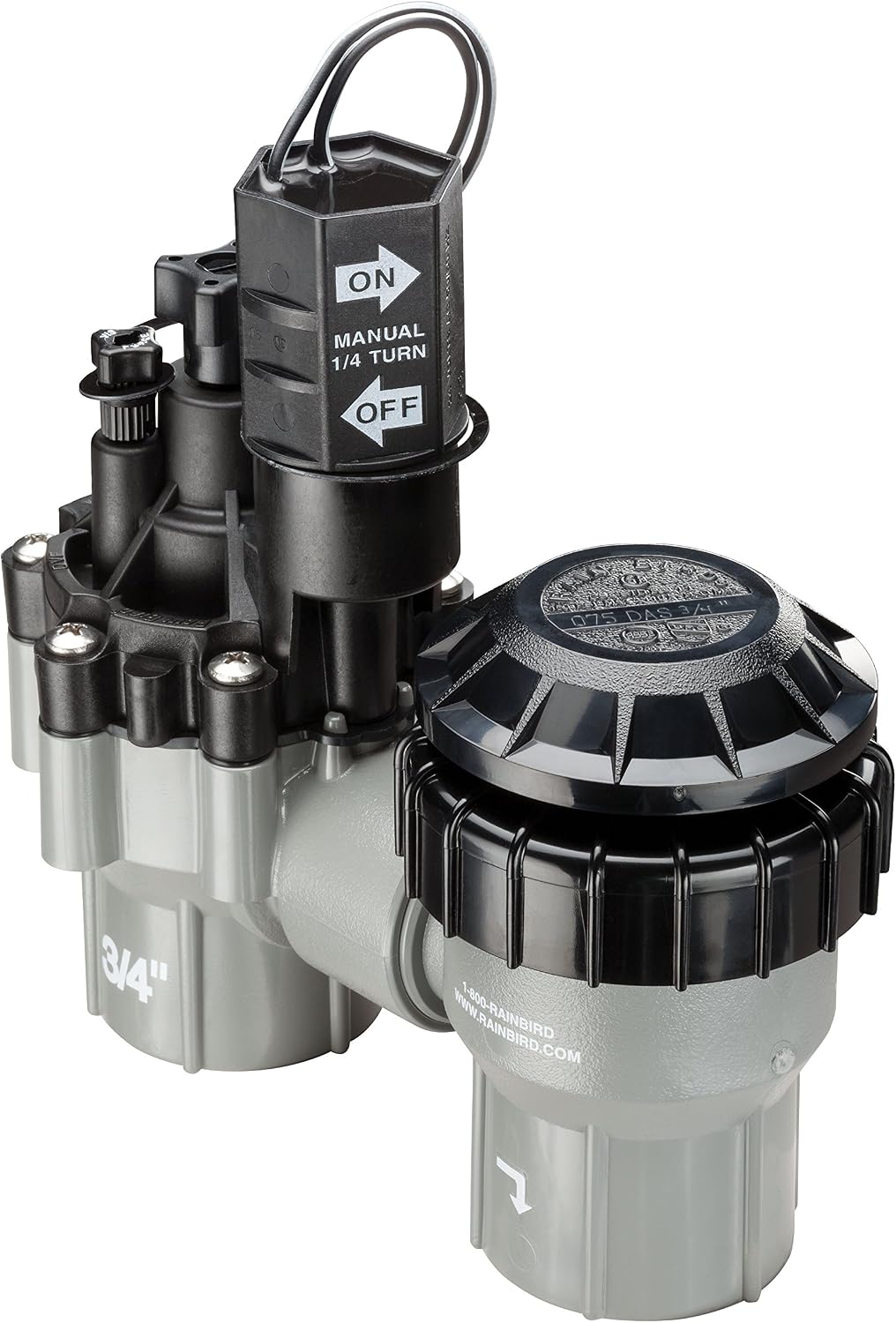 Rain Bird DASASVF075 Professional Anti-Siphon Valve, 3/4"
