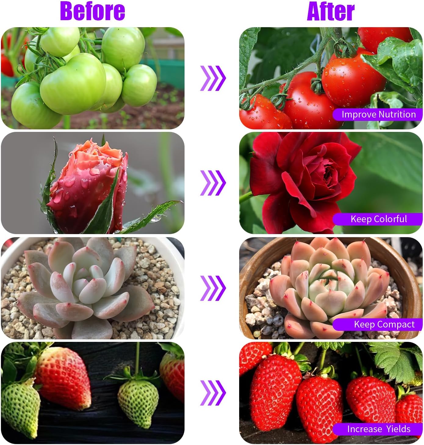 Grow Lights Upgrade 168 LEDs Clip Plant Lights for Indoor Plants, Full Spectrum White+ Red LED Plant Growing Lamps with