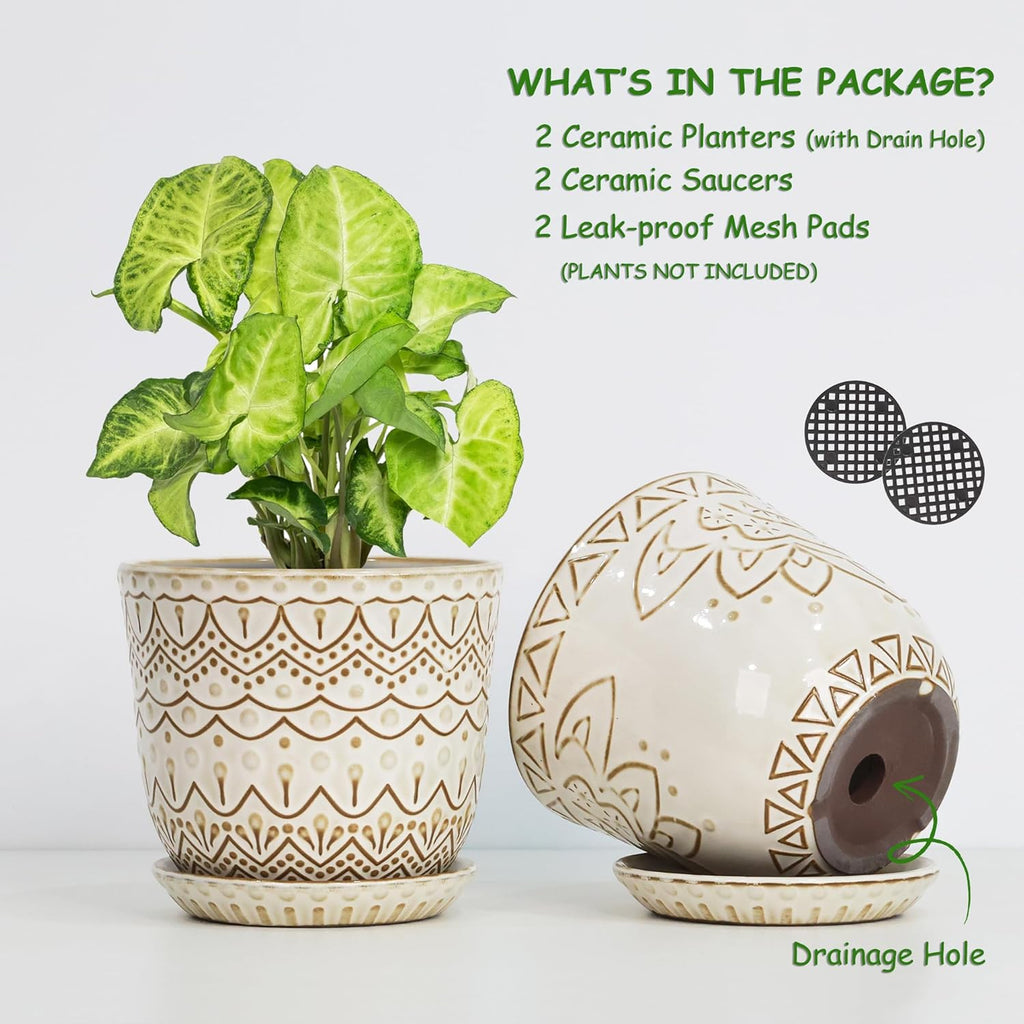 Gepege Ceramic Plant Pots, 6 Inch Indoor Planters with Drainage & Saucers | Ceramic pots for plants with drainage