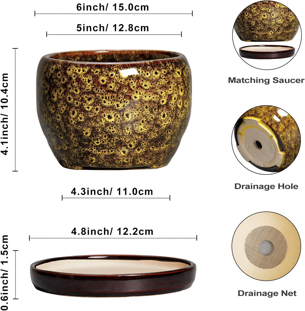 SQOWL 6 Inch Plant Pot - Ceramic Flower Pots with Drainage Hole and Saucer, Ceramic Planter for Indoor Plants Outdoor