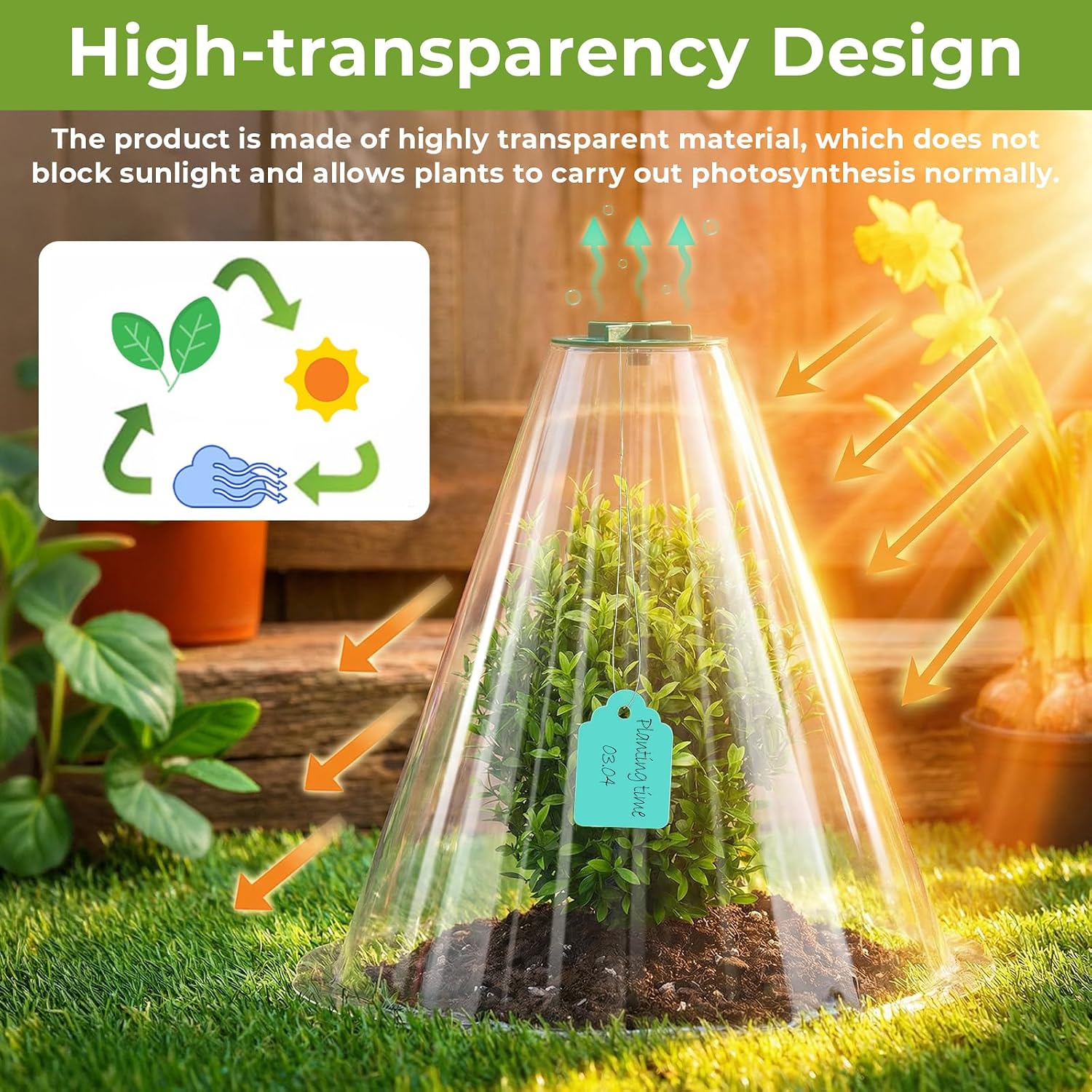 Cloches for Plants, Transparent Plant Covers, Garden Cloches with Humidity Domes, Securing Pegs and Plant Labels