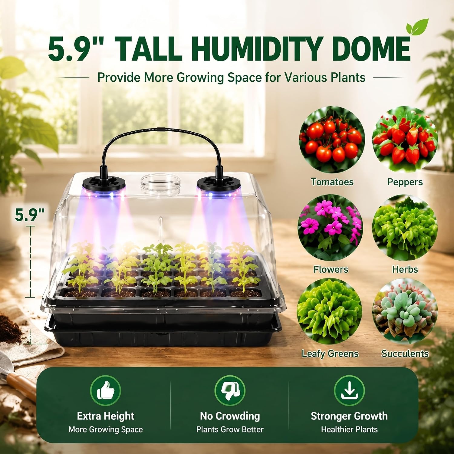 2 Sets 60-Cell Seed Starter Trays with Grow Lights, Heat Mat and Dome | 70-80°F Stable Warmth, Full-Spectrum Lighting