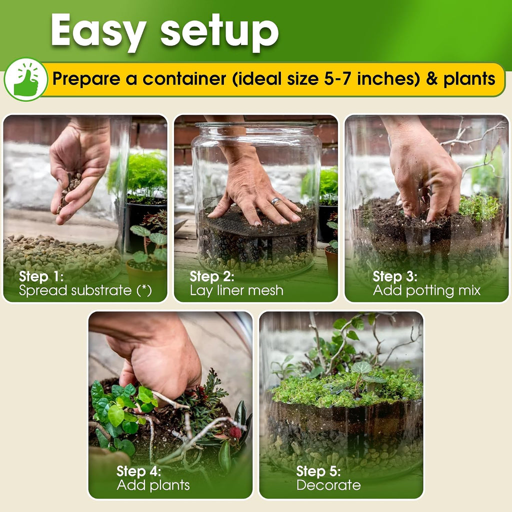 All-in-One DIY Terrarium Starter Kit for Air Plant & Succulent | Includes Potting Soil, Pumice, Zeolite, Green Moss