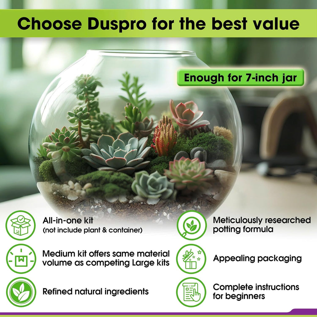 All-in-One DIY Terrarium Starter Kit for Air Plant & Succulent | Includes Potting Soil, Pumice, Zeolite, Green Moss