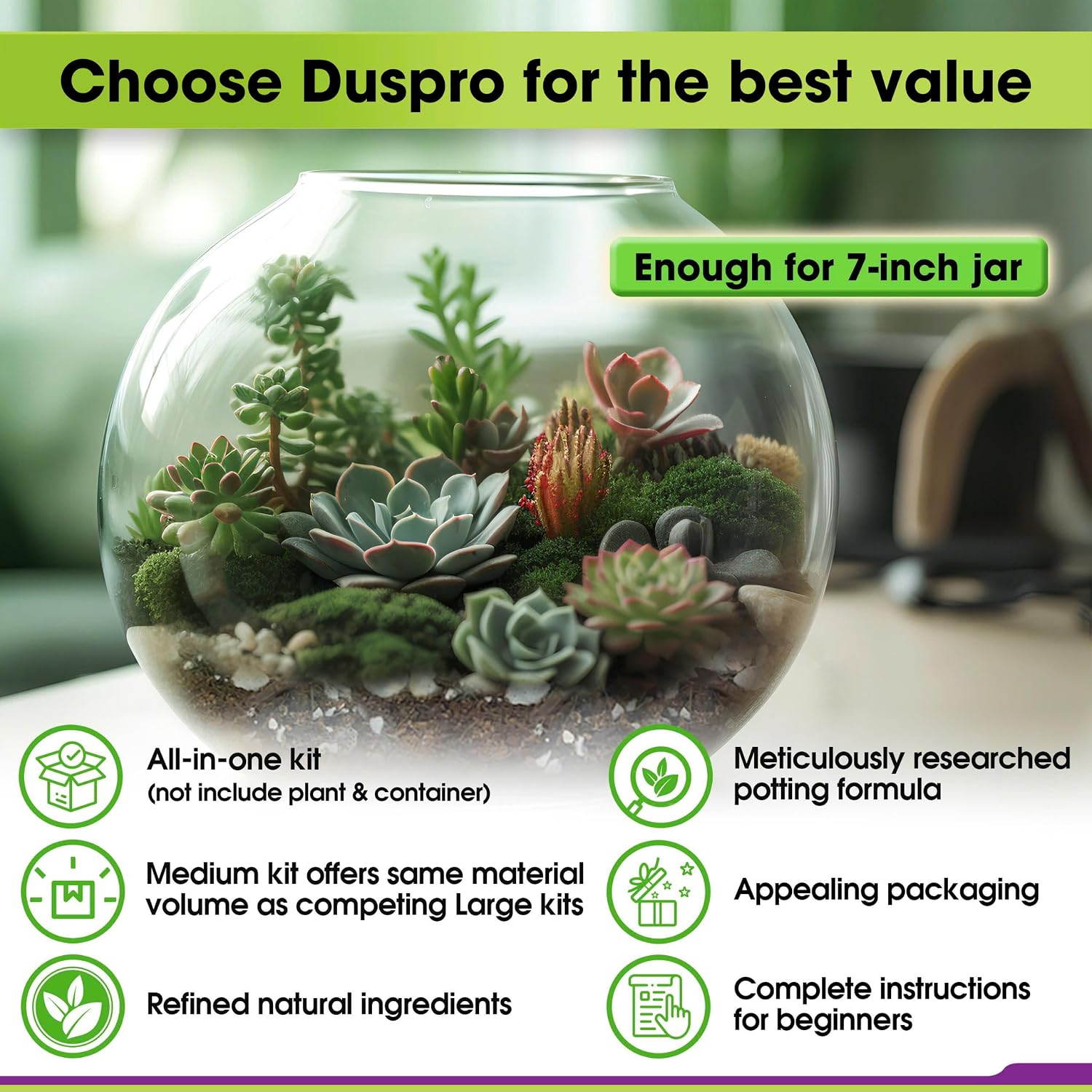All-in-One DIY Terrarium Starter Kit for Air Plant & Succulent | Includes Potting Soil, Pumice, Zeolite, Green Moss