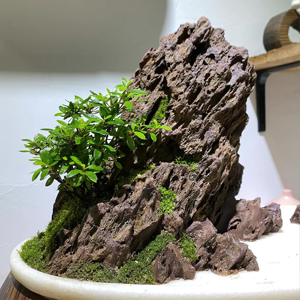 Natural Stone 10lb Fish Tank Rock for Aquarium Landscaping Models Fish Tank Decoration,Freshwater Planted Aquariums and