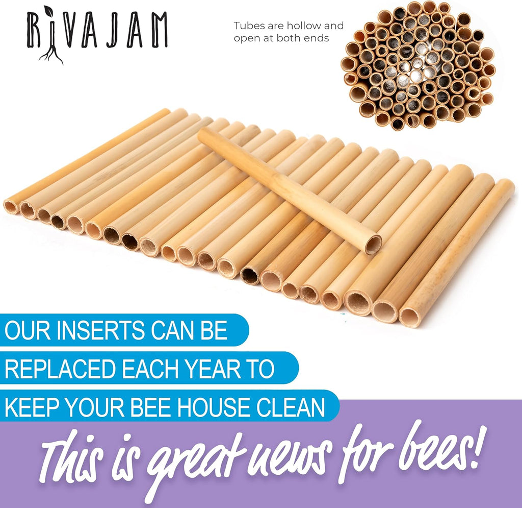 Rivajam Beekeeper Pro Mach II Mason Bee House - Strong + Waterproof Bee Hotel & Insect Habitat - Replaceable Mason Bee