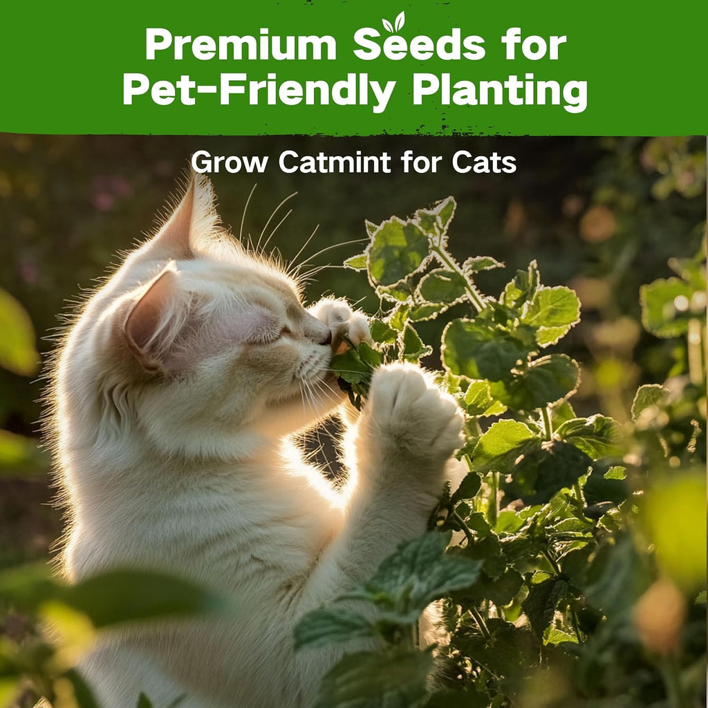 Lush&Dew Pet-Friendly Heirloom Seed Bank, Gardening Gifts for Women Men | 16 Varieties 15,000+ Non-GMO Seeds for