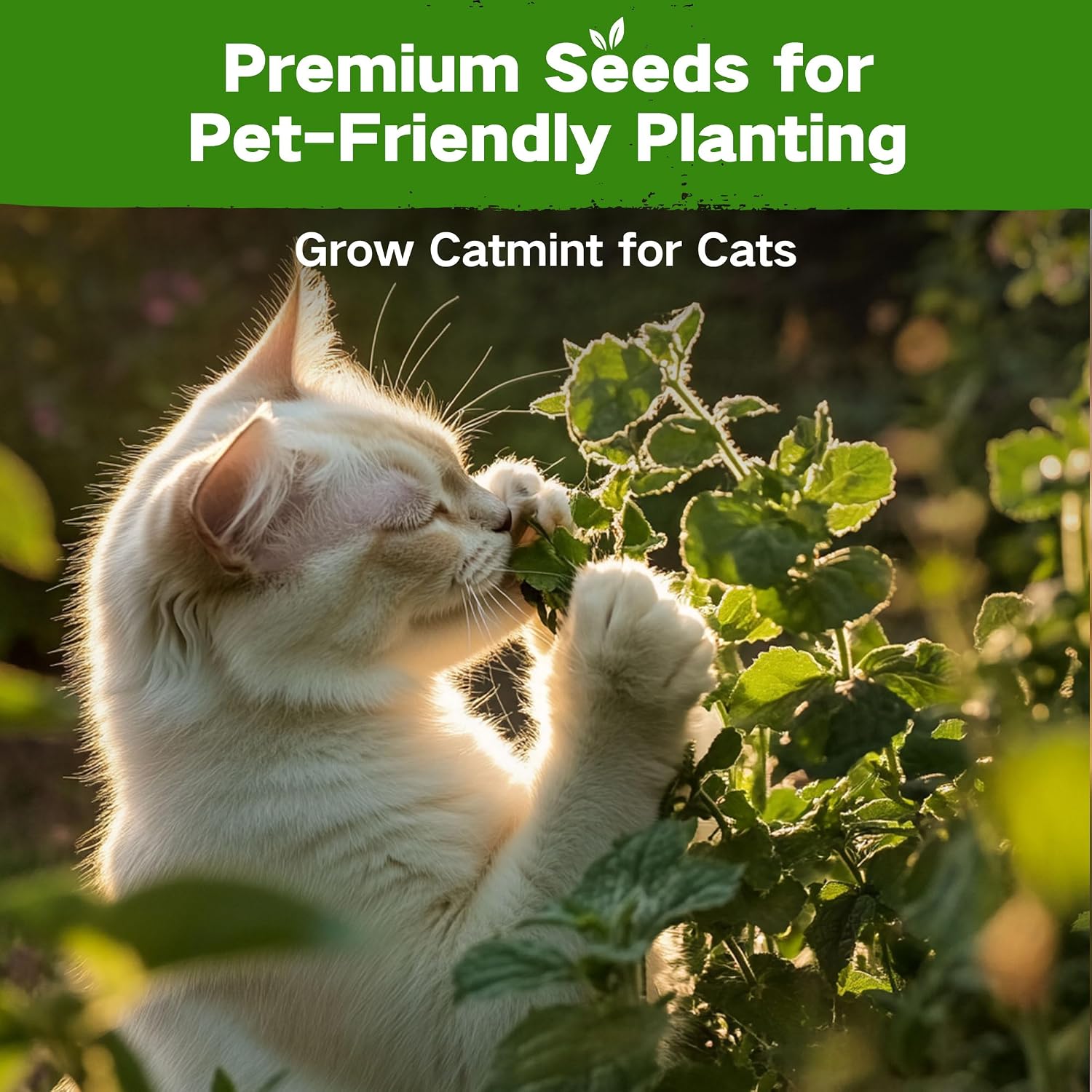 Lush&Dew Pet-Friendly Heirloom Seed Bank, Gardening Gifts for Women Men | 16 Varieties 15,000+ Non-GMO Seeds for