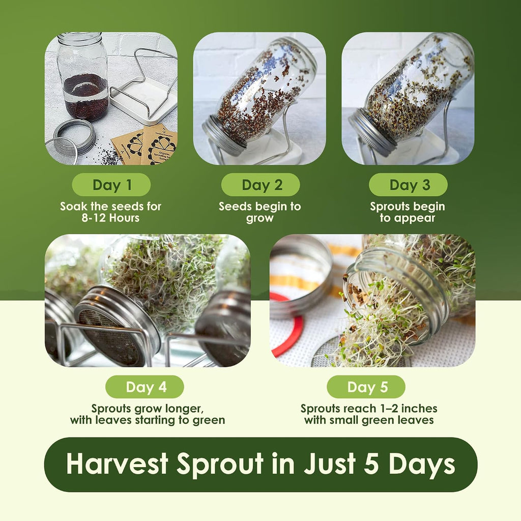 Nature Jims Organic Broccoli Sprout Seeds and Organic Salad Mix Seeds, Microgreens Variety for Healthy Indoor or