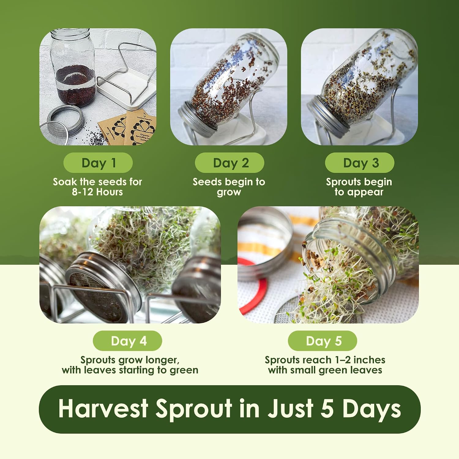 Nature Jims Organic Broccoli Sprout Seeds and Organic Salad Mix Seeds, Microgreens Variety for Healthy Indoor or