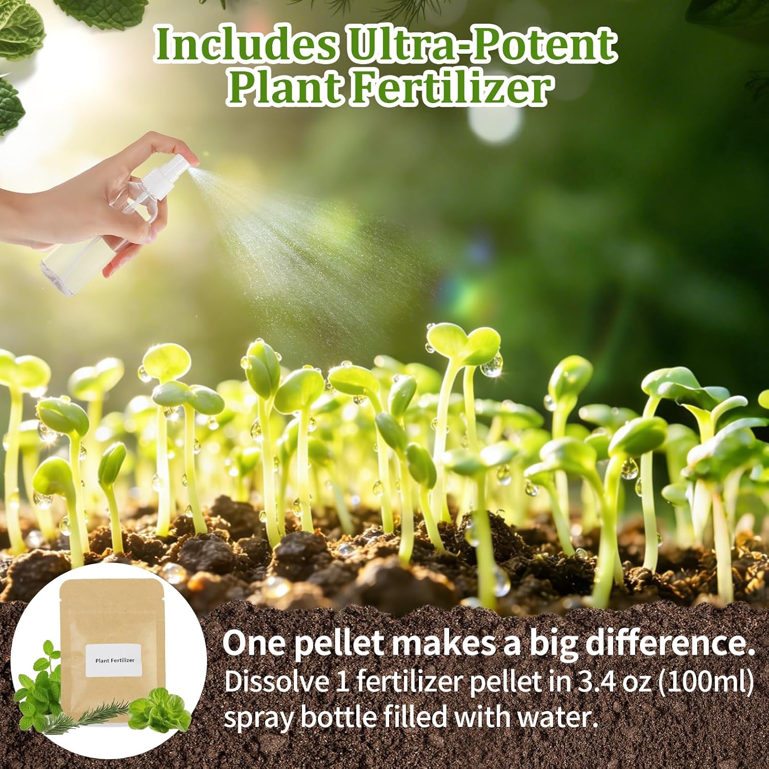 Herb Indoor Window Garden Kit - House Plants Seeds - Best Unique Christmas Gift Ideas for Women, Friend, Birthday