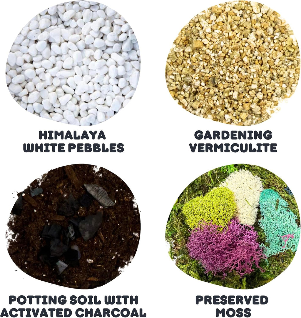 Terrarium Starter Kit | Moss, Vermiculite, Soil, Pebbles, Plant Food, & Finishing Tools (Large Kit + Live Plants +