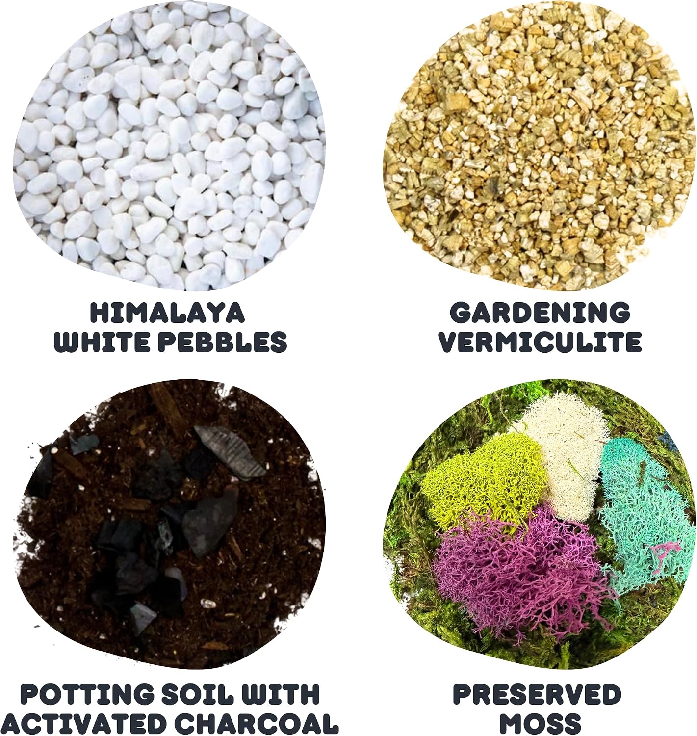 Terrarium Starter Kit | Moss, Vermiculite, Soil, Pebbles, Plant Food, & Finishing Tools (Large Kit + Live Plants +