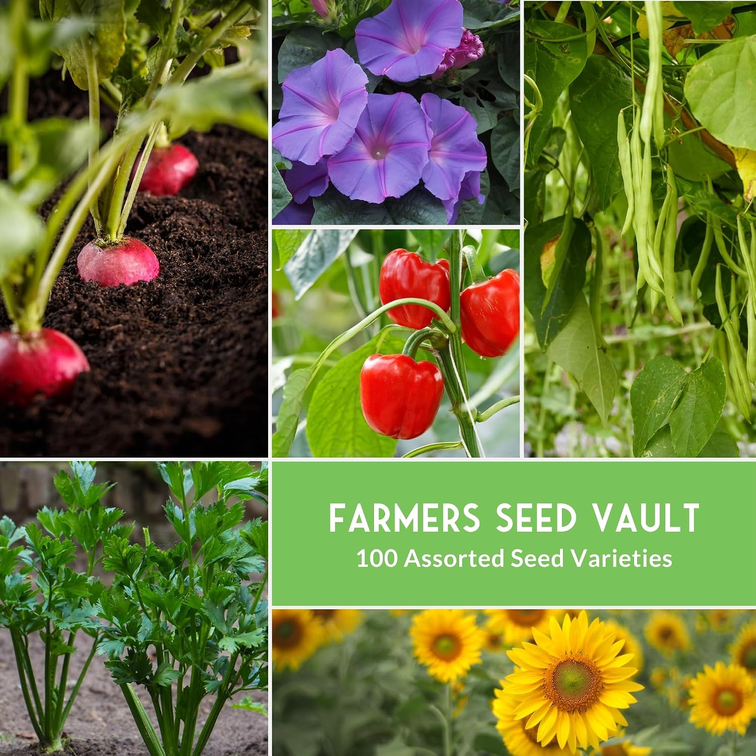 Farmer Seed Vault – 100 Packs of Seed for Heirloom Vegetable Gardens | Non-GMO Vegetables, Fruits, Herbs for Planting –