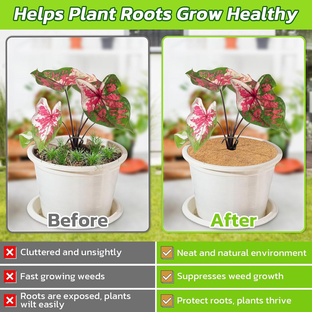 10 Pack Coconut Fiber Mulch Ring Tree Plant Protector Mat, 14 Inch | Natural Coco Coir Tree Mulch Ring Plant Pot Soil