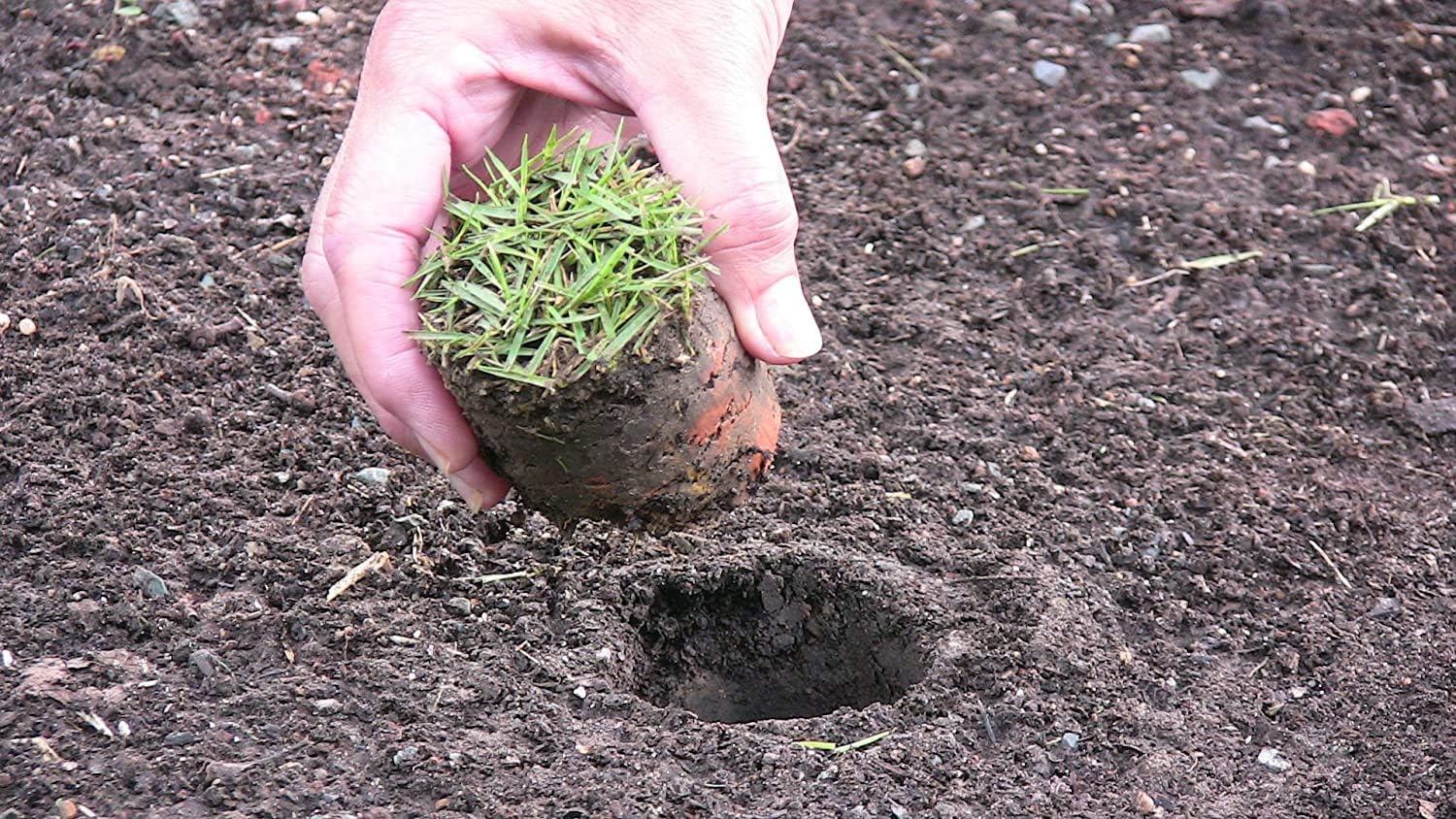 5-IN-1 Lawn Tool and Garden Tool, Bulb Planter, Weeder, Sod Plugger, Annual Planter, Soil Test