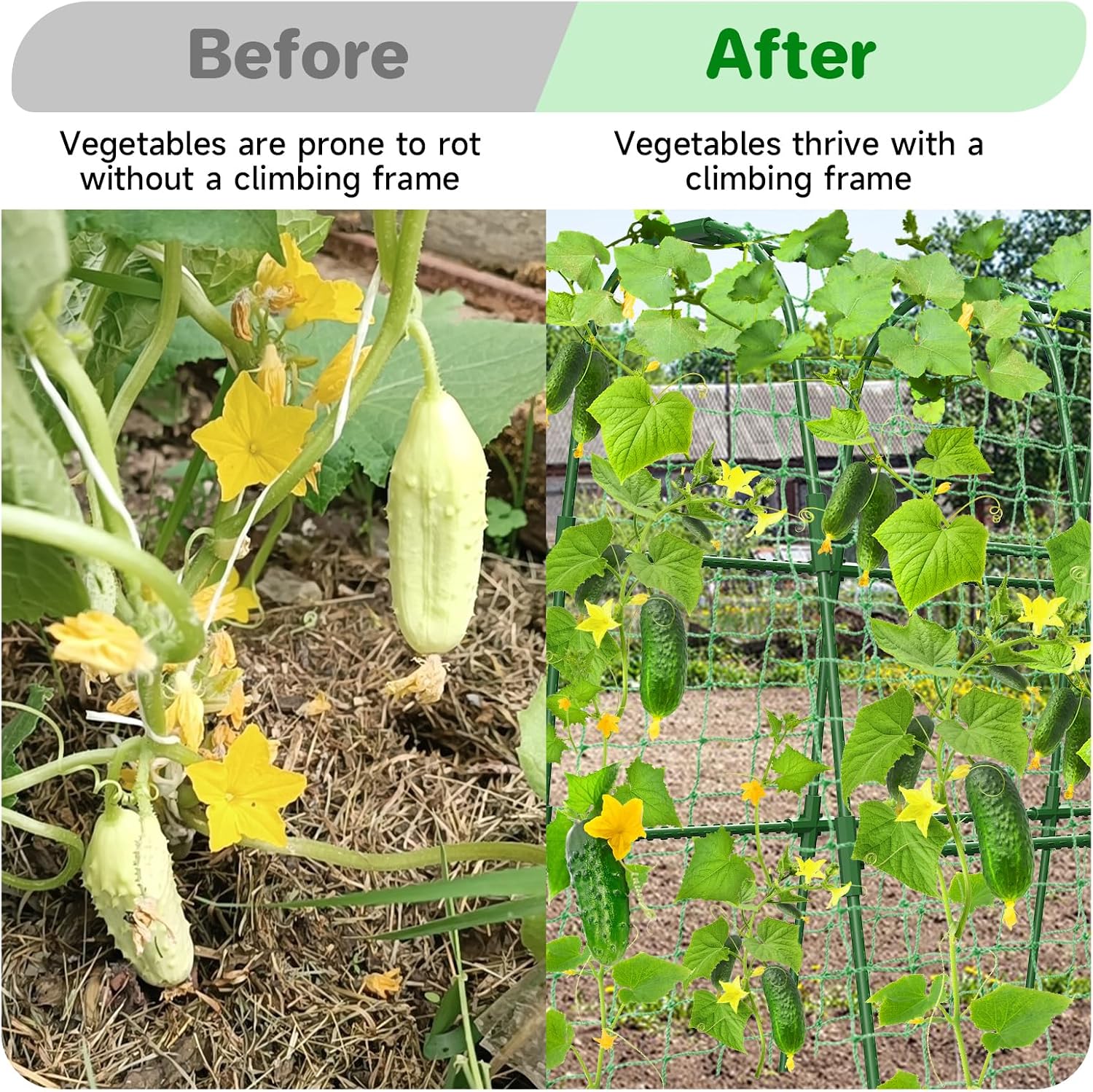 Cucumber Trellis for Raised Bed, U-Shape Garden Trellis for Climbing Plants Outdoor, Metal Arch Trellis for Vegetables