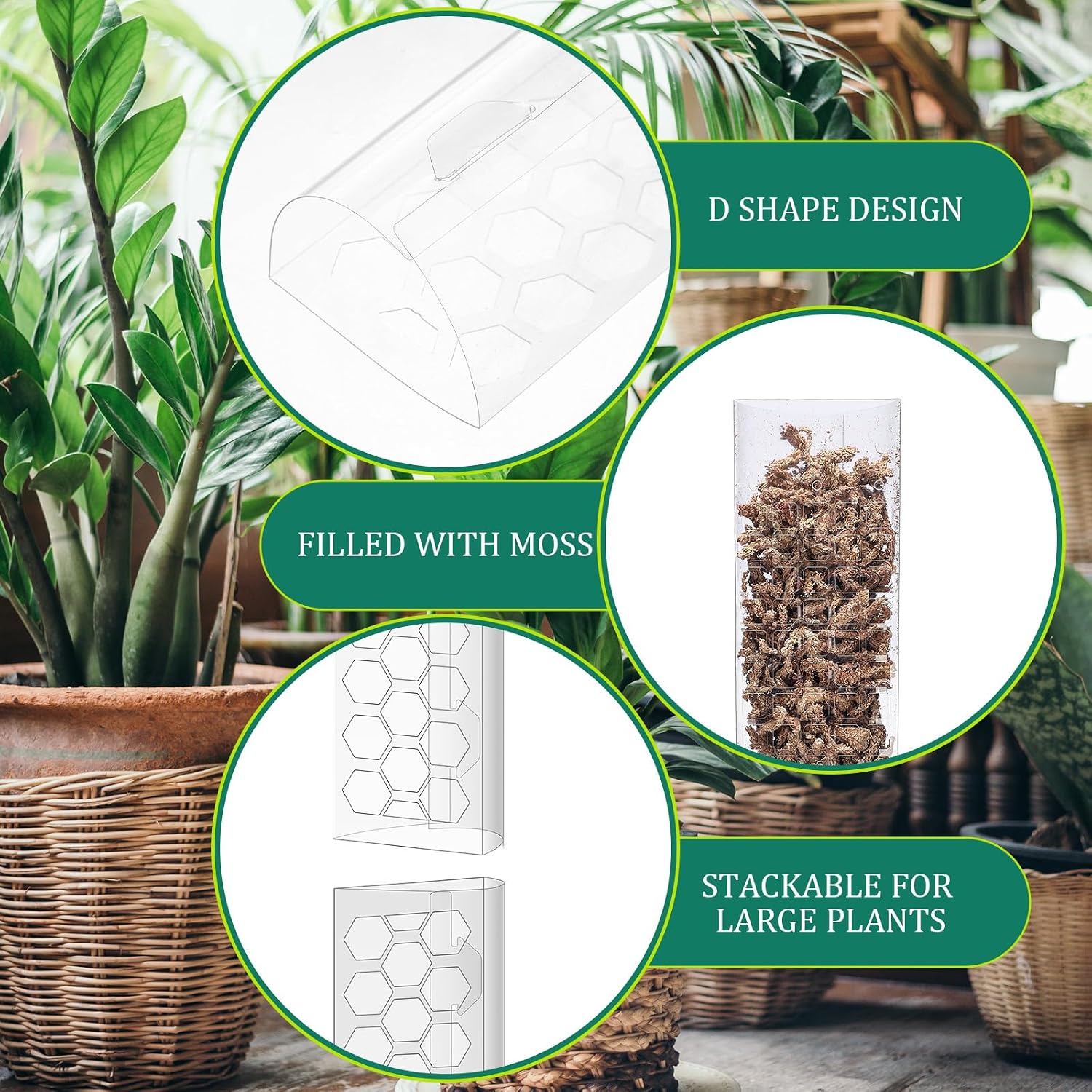 10 Pieces Plastic Moss Pole for Monstera Including 4 Pcs 24 Inch Clear Plant Poles for Indoor Climbing and 6 Pcs 15