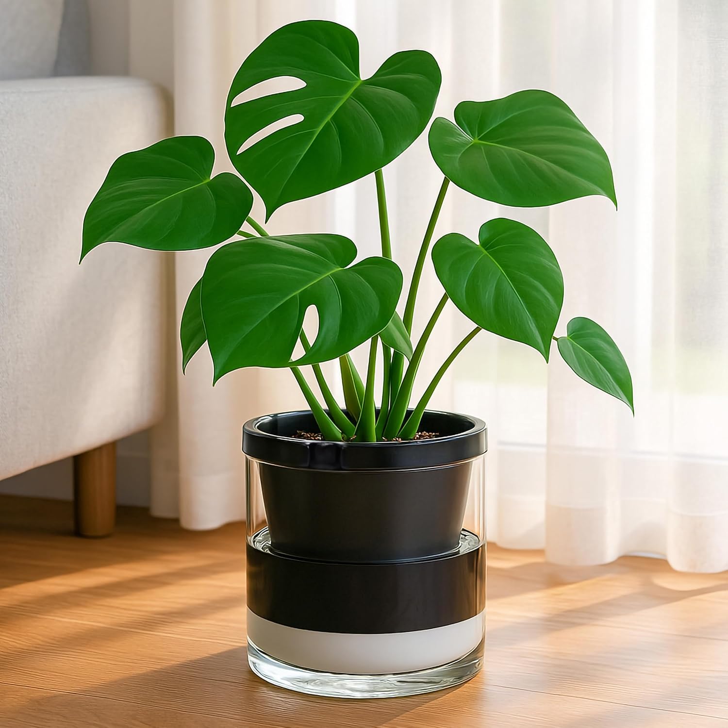 D'vine Dev Self-Watering Black Terracotta Planter Pot, 8 in, 37-X-C-3 | Terracotta & Glass Design, Clear Water