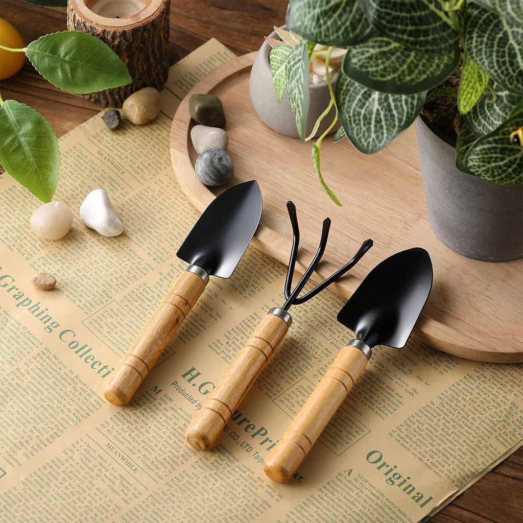 72 Pcs Mini Gardening Tools Kit with Small Trowel Mini Shovel & Hand Rake Rust Resistant Iron Succulent Tools with Wood