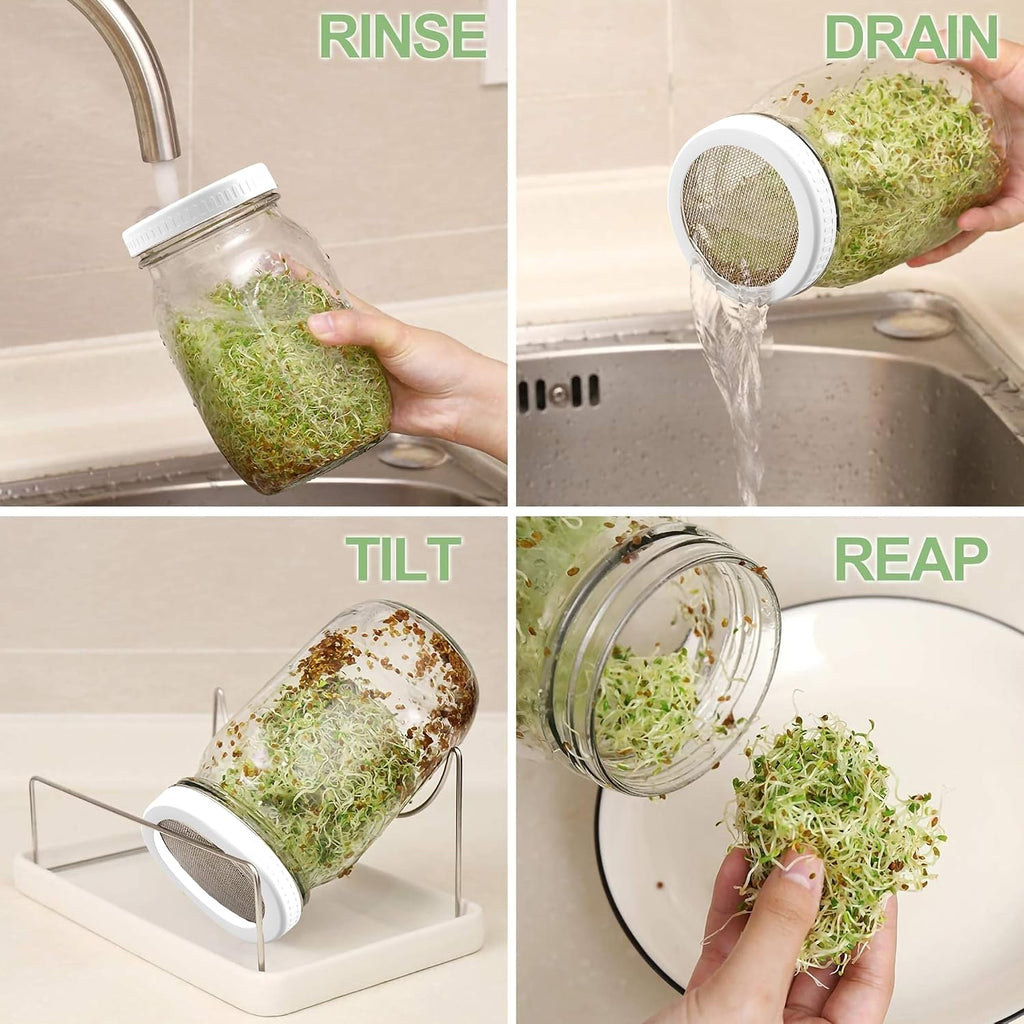 Organic Seed Sprouting Jar Kit – 2 × 32 oz Wide-Mouth Mason Jars with Stainless-Steel Sprouter Lids & Stand, Blackout