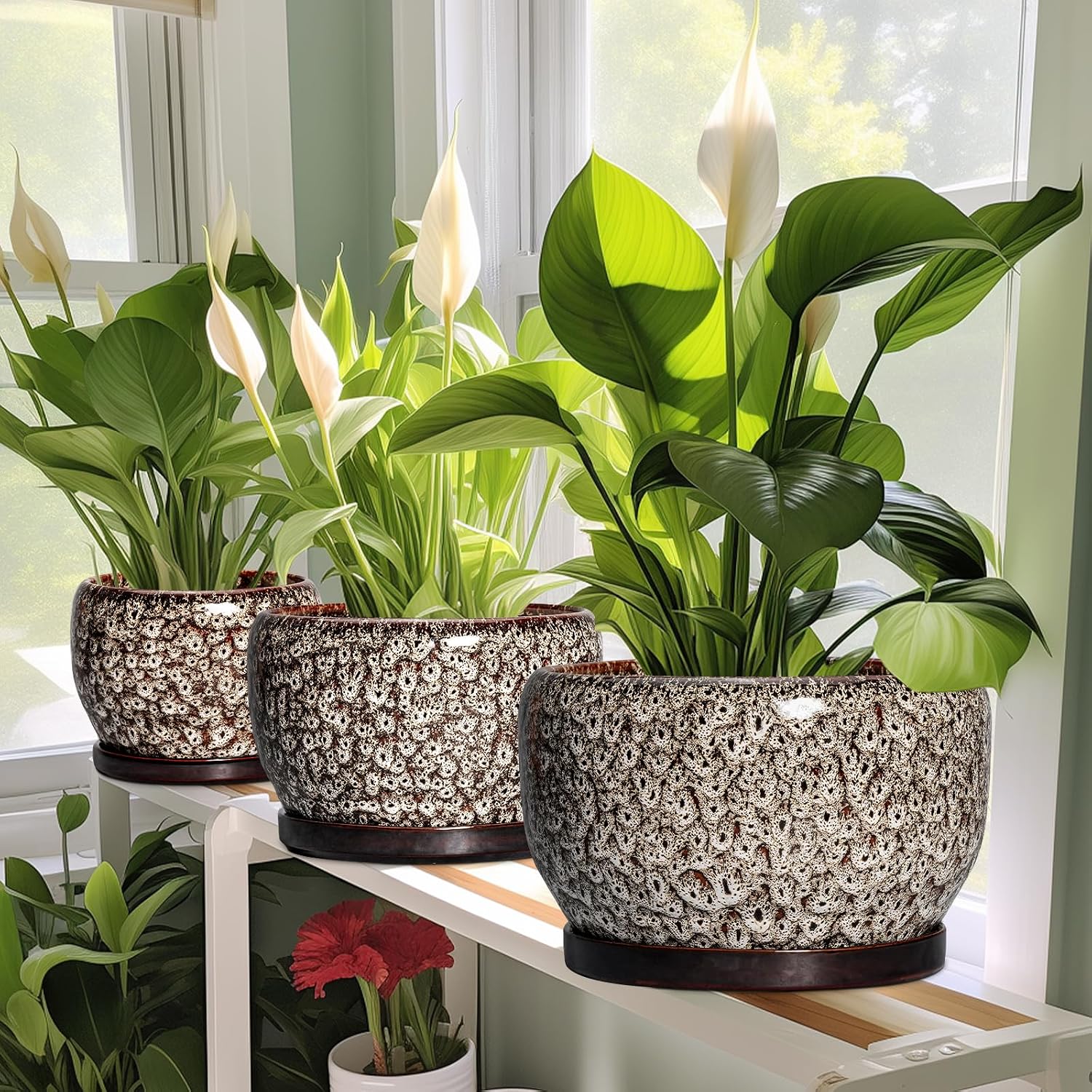 SQOWL Ceramic Planter - 8 inch Plant Pot Indoor with Drainage Hole and Plant Saucer, Round Ceramic Flower Pots Outdoor