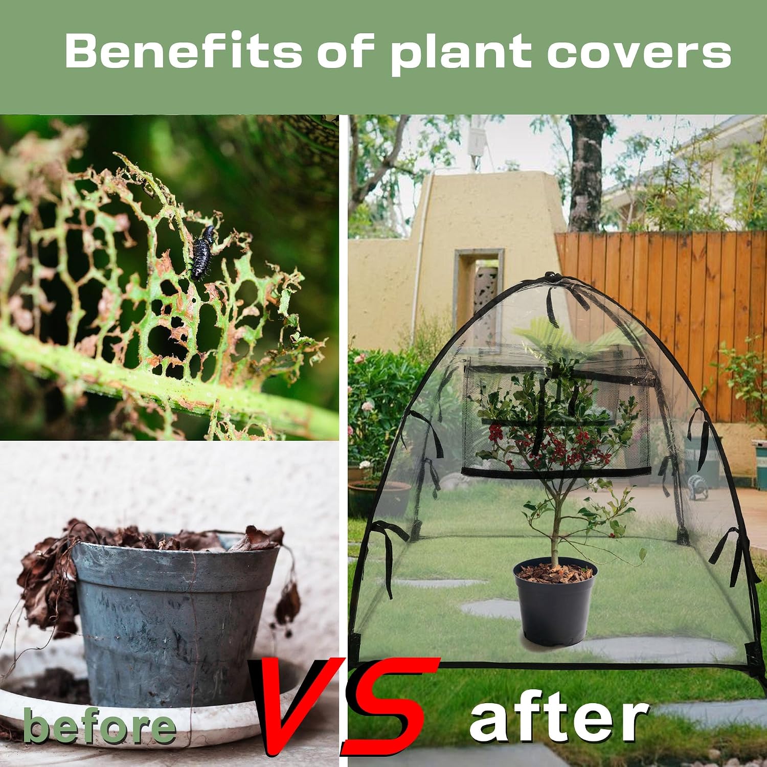 Plant Tent Cover Freeze Protection for Winter Plants Clear 36" x 36" x 38" | Garden Plants Frost Cover, Transparent