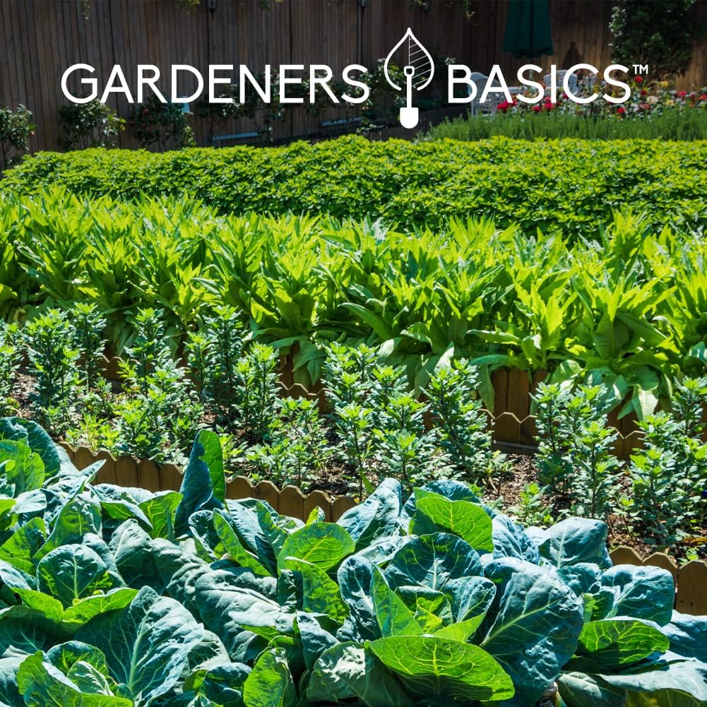 Gardeners Basics Seed Safe Kit - 35 Easy to Grow Heirloom Vegetable Seeds for Beginners - Non GMO Garden Starter Set