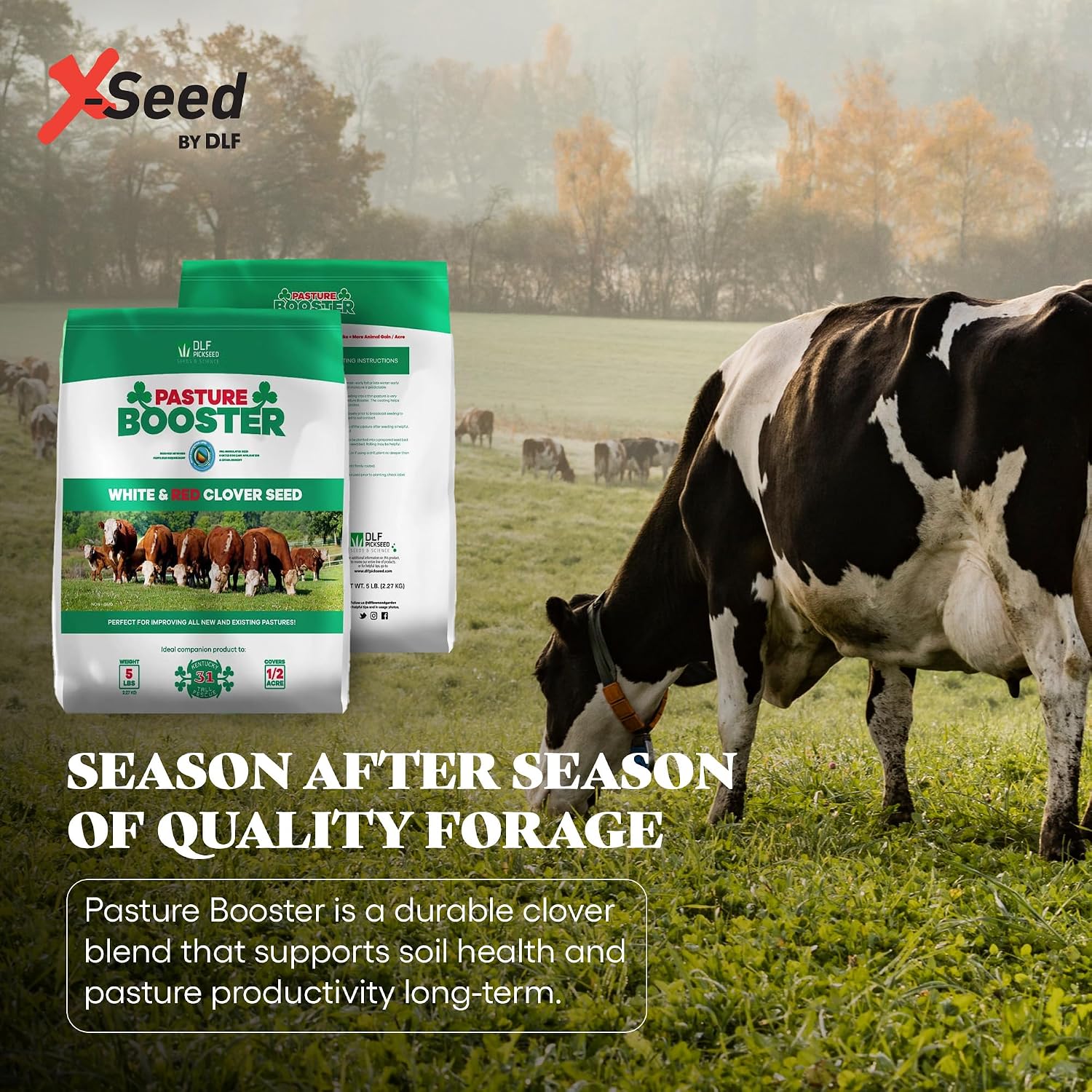 DLF Pasture Booster Clover Seed Mixture - Premium Clover Seed for Pastures, Livestock, Horses, Providing Protein &