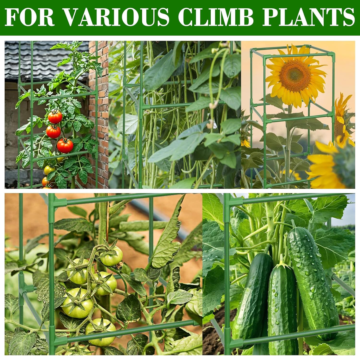 6 Pack 60 Inch Heavy Duty Tomato Cages for Garden with Clips | Square Tomato Trellis for Raised Garden Bed, Adjustable