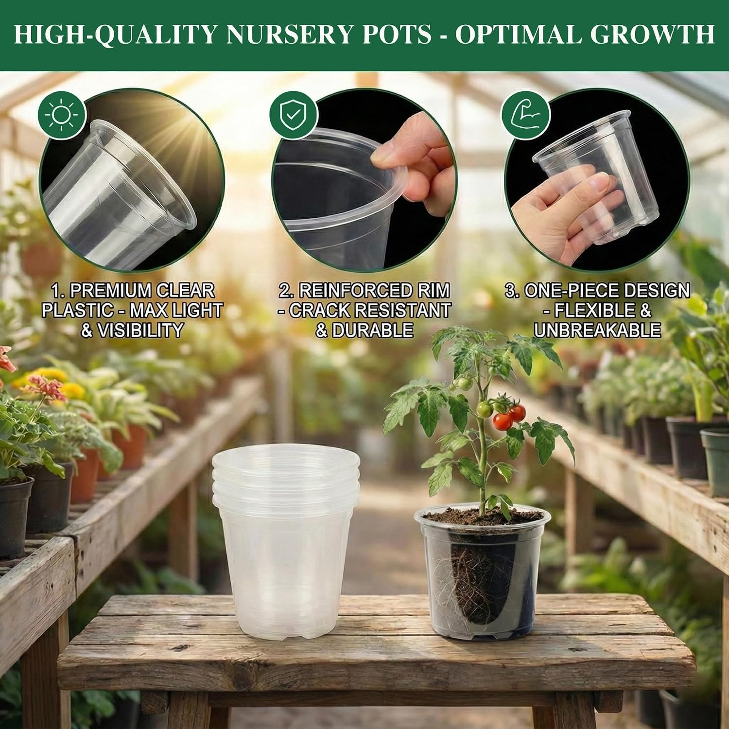 Clear Nursery Pots with Drainage, 81 Pcs Set, 4/5/6 Inch Plastic Pots for Indoor Plants, Seed Starter Kit with Plant