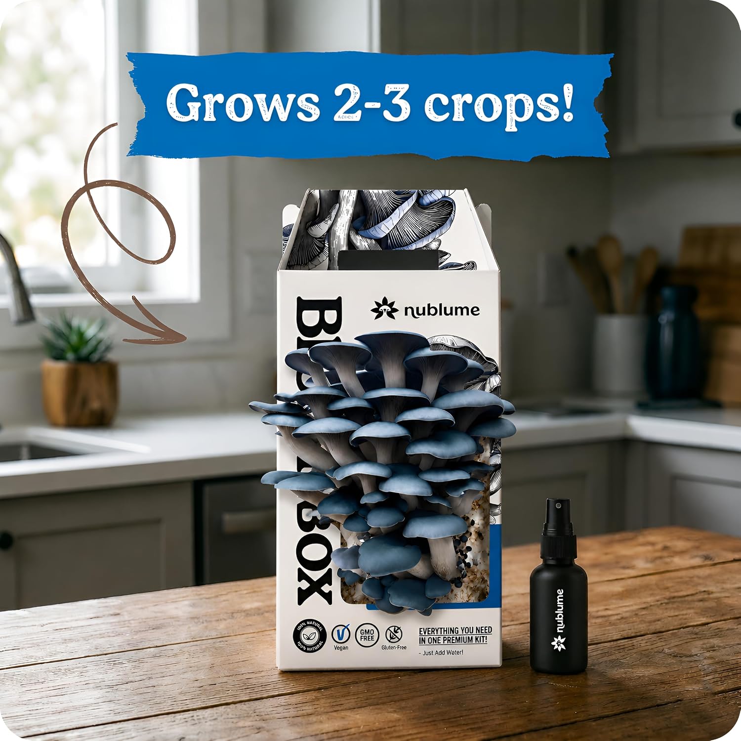 BloomBox Blue Oyster Mushroom Grow Kit – Spray & Grow – Pre-Inoculated Indoor Mushroom Farm – Beginner Friendly –