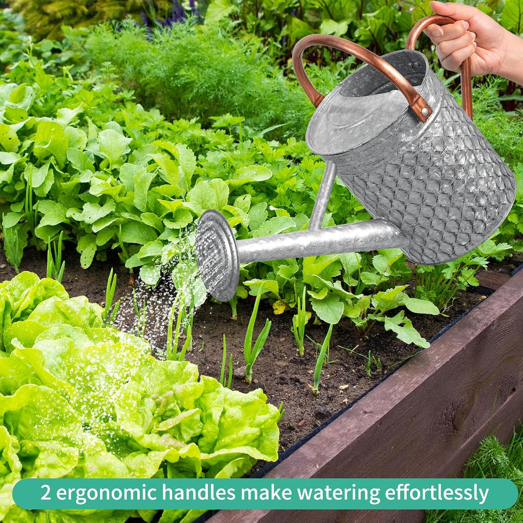 1 Gallon Metal Watering Can for Outdoor Indoor Plants, Galvanized Watering Can with Removable Spray Spout, Ideal for