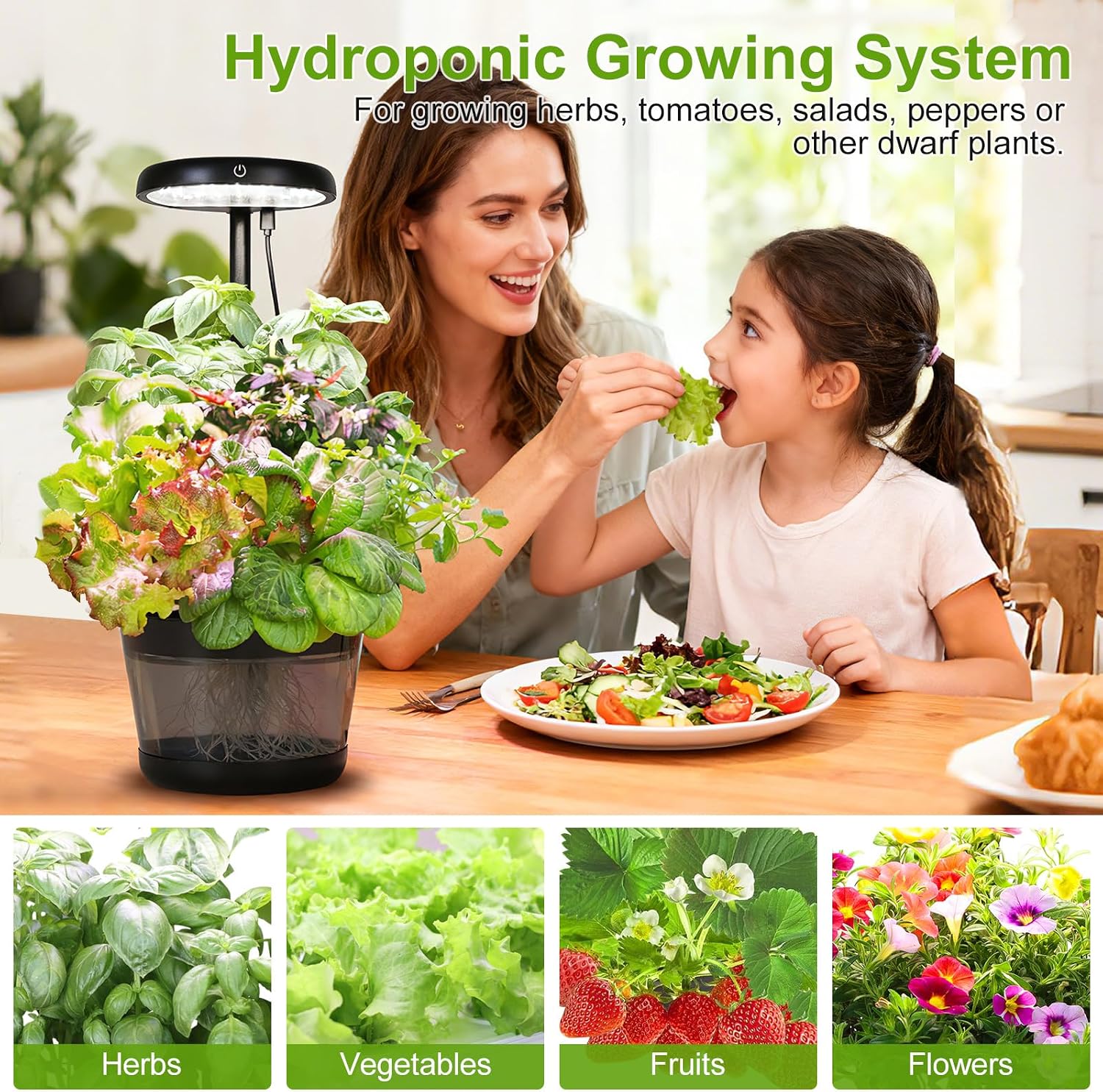 Indoor Clay Pebbles Hydroponic Gardening System with 20W LED Plant Grow Light.The Translucent hydroponic Growing System