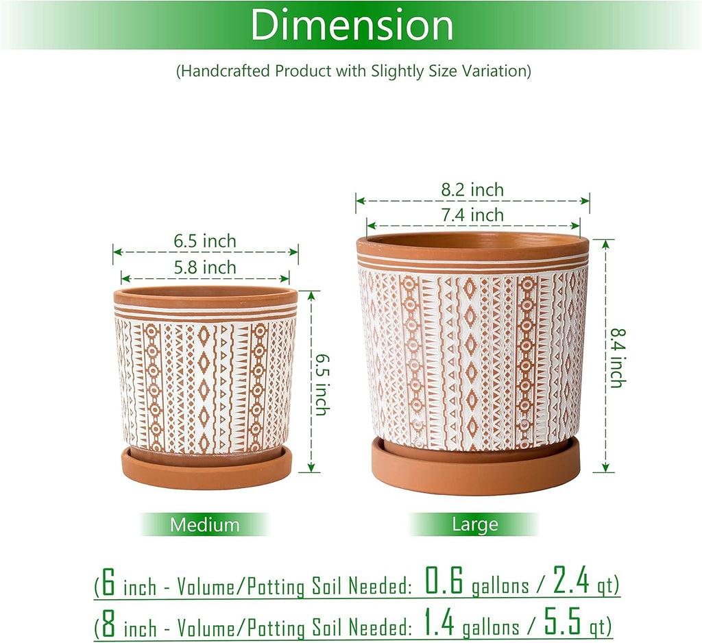 D'vine Dev Set of 2 Terracotta Pots, 6.5 Inch & 8.2 Inch, Planter Pots for Plants with Drainage Holes and Saucers