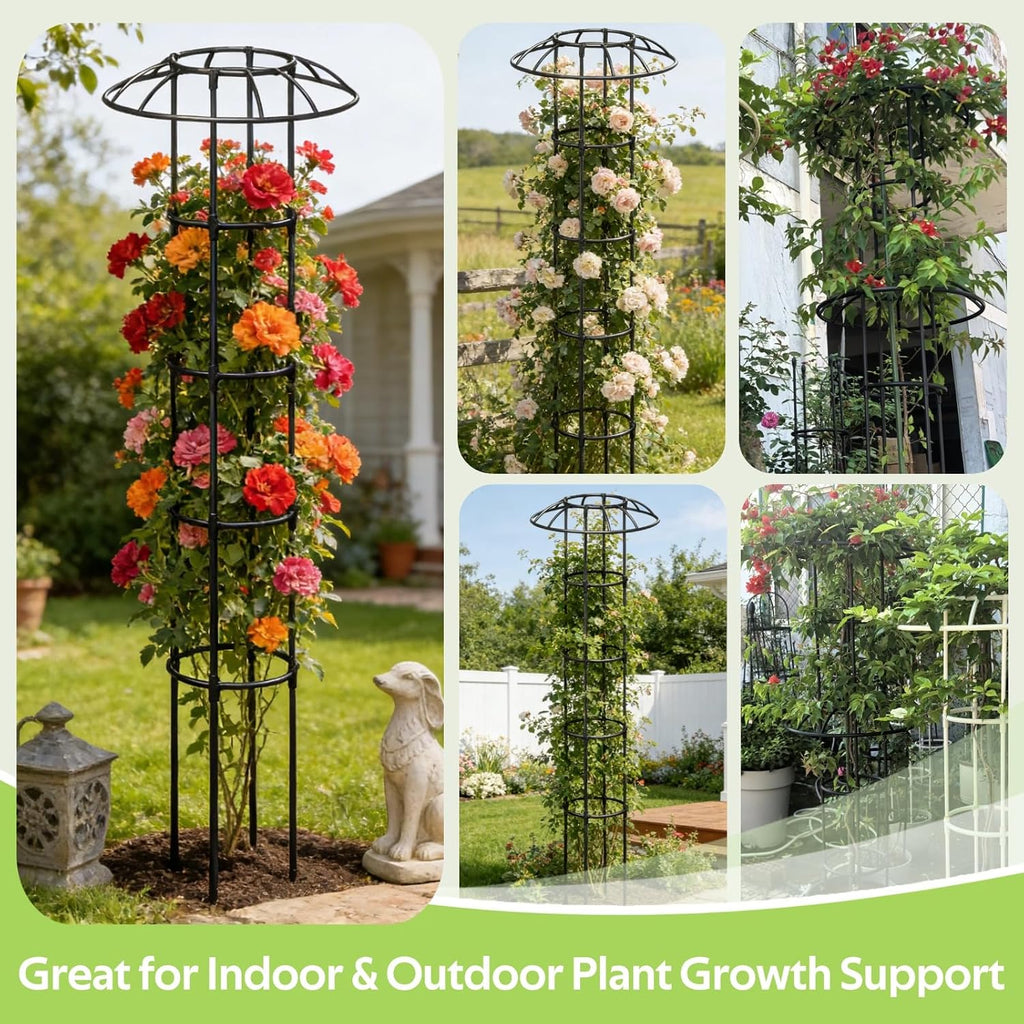 Garden Trellis for Climbing Plants Outdoor - Unique Umbrella Top Round Trellis for Indoor Potted Plant - 64" Tall