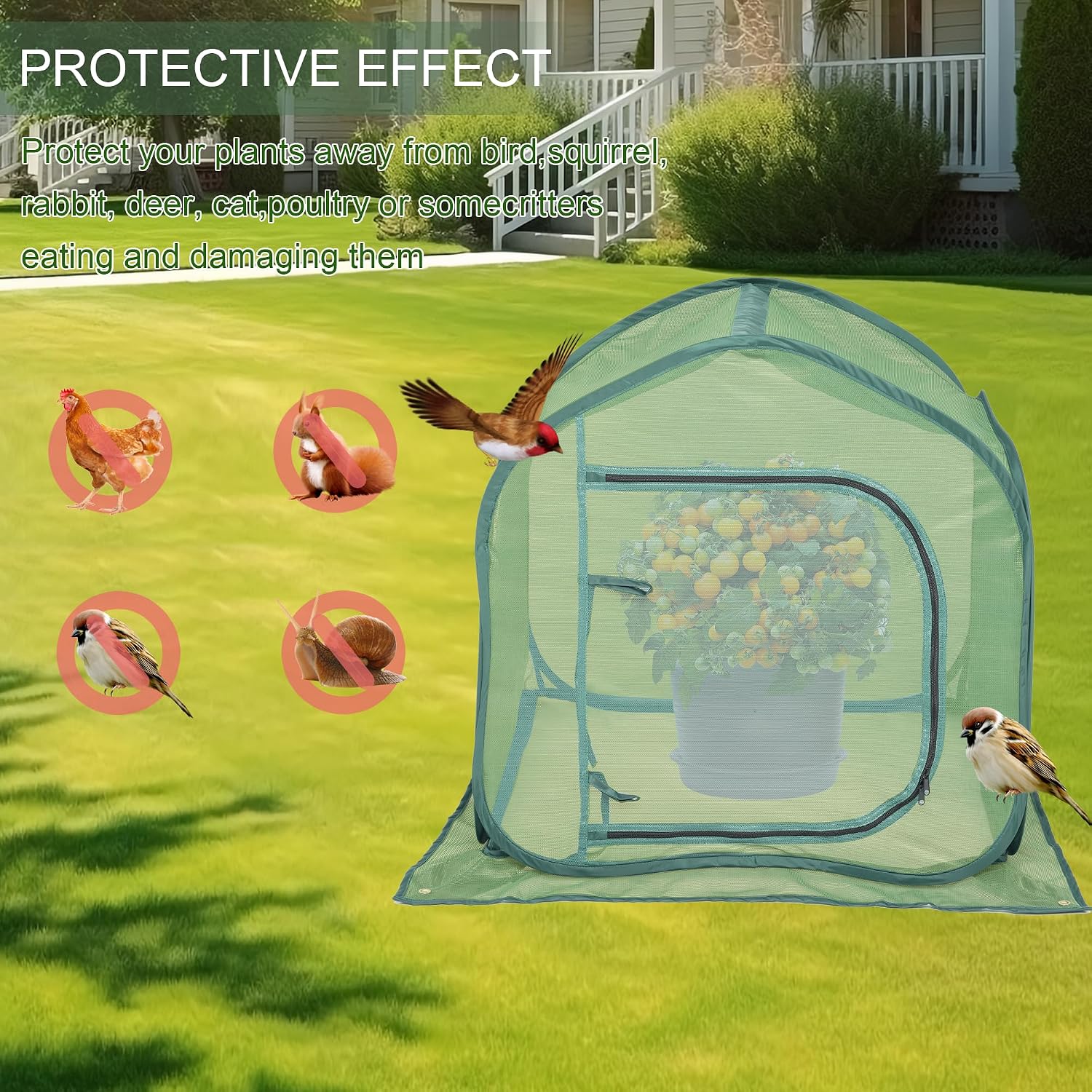 UV-Resistant Durable Pop Up Plant Covers & Garden Mesh Netting - Protective Bird Netting for Tomato & Crop Protection