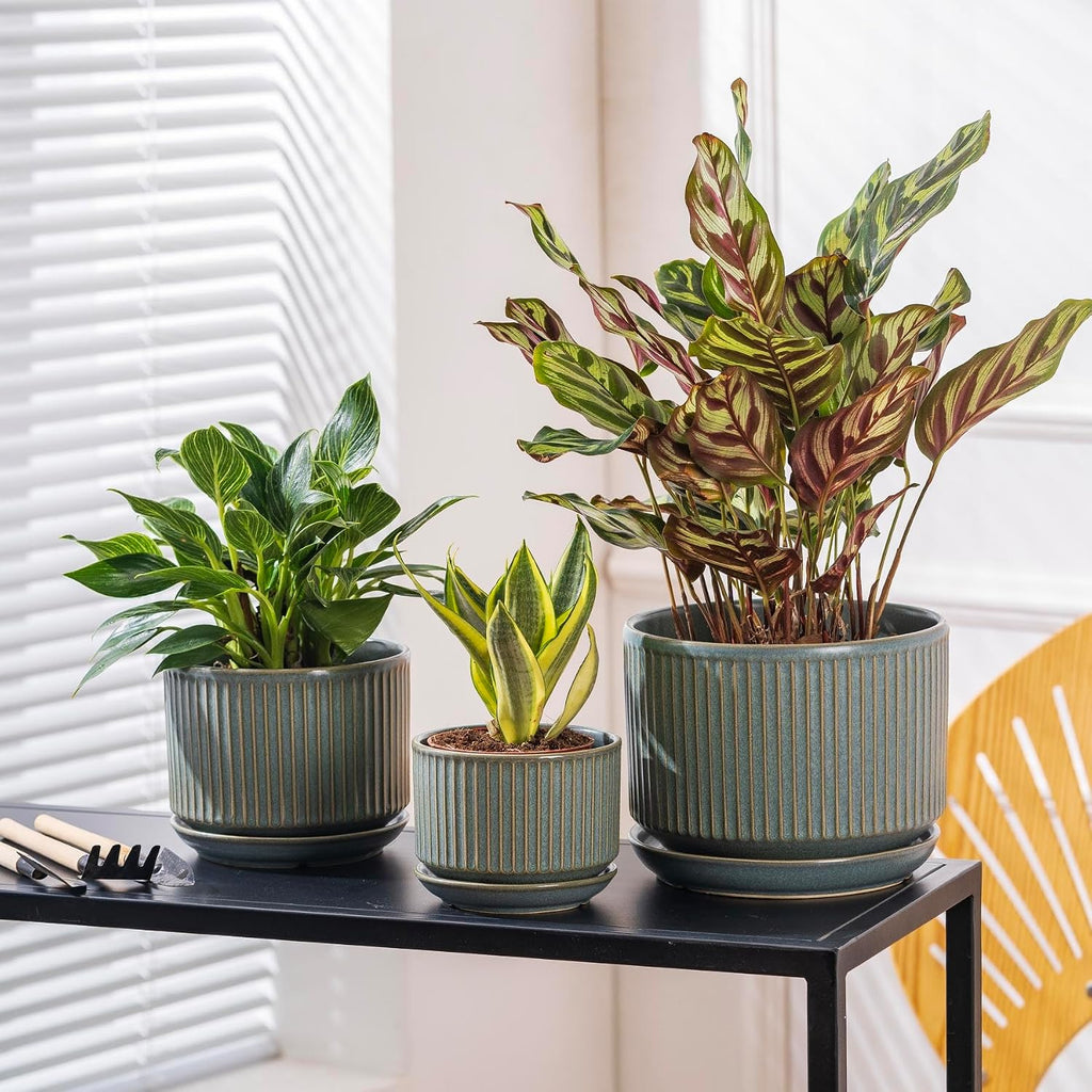 SURE YUESI Ceramic Plant Pots Set of 3, Indoor Outdoor Planters with Drainage Hole and Saucer, Ceramic Flower Pots for