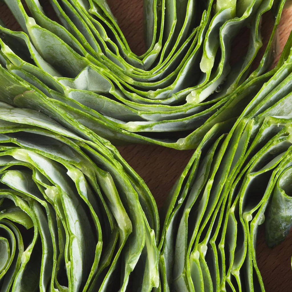 Bulk Collard Green Seeds for Planting - 1 Pound Over 128,000 Heirloom Non-GMO Georgia Southern Collard Seeds - Leafy