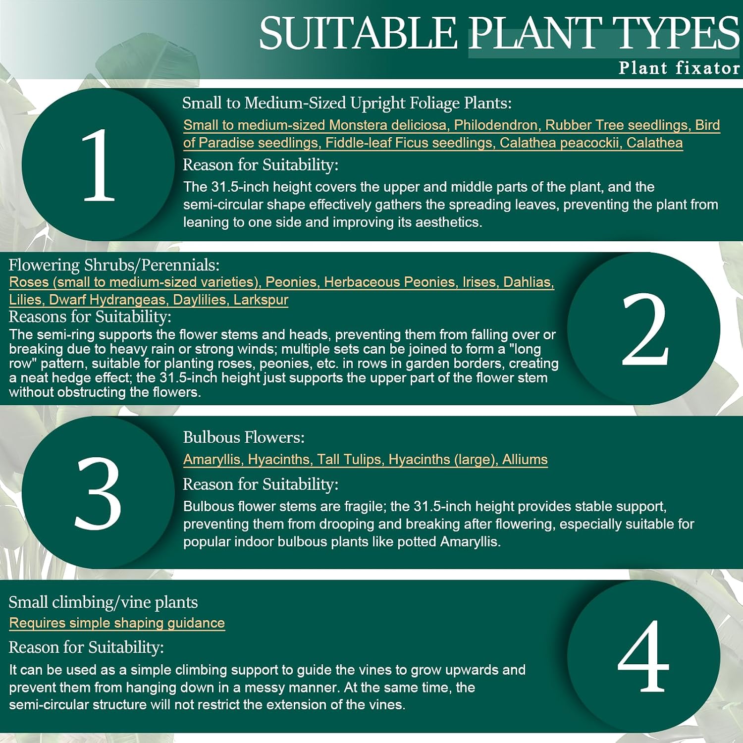 6-Pack 31.5” Plant Support Stakes, Steel Plant Cage & Peony Tomato Hydrangea Cage, Garden Stakes for Outdoor Plants
