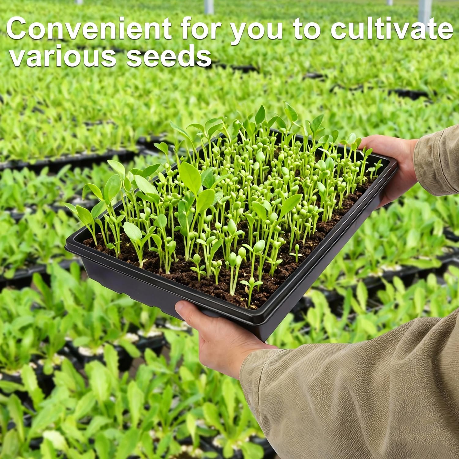 14 Pack Seed Starter Trays 15.3 x 11.4 inches Microgreens Growing Trays with Bottom for Germination, Hydroponic &