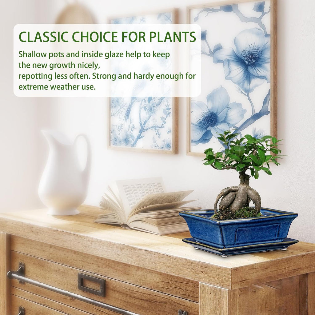 Villa Como Set of 2 Bonsai Pots with Drainage Tray, 7.5" Bonsai Planters | Blue Glazed Ceramic Bonsai Tree Pots