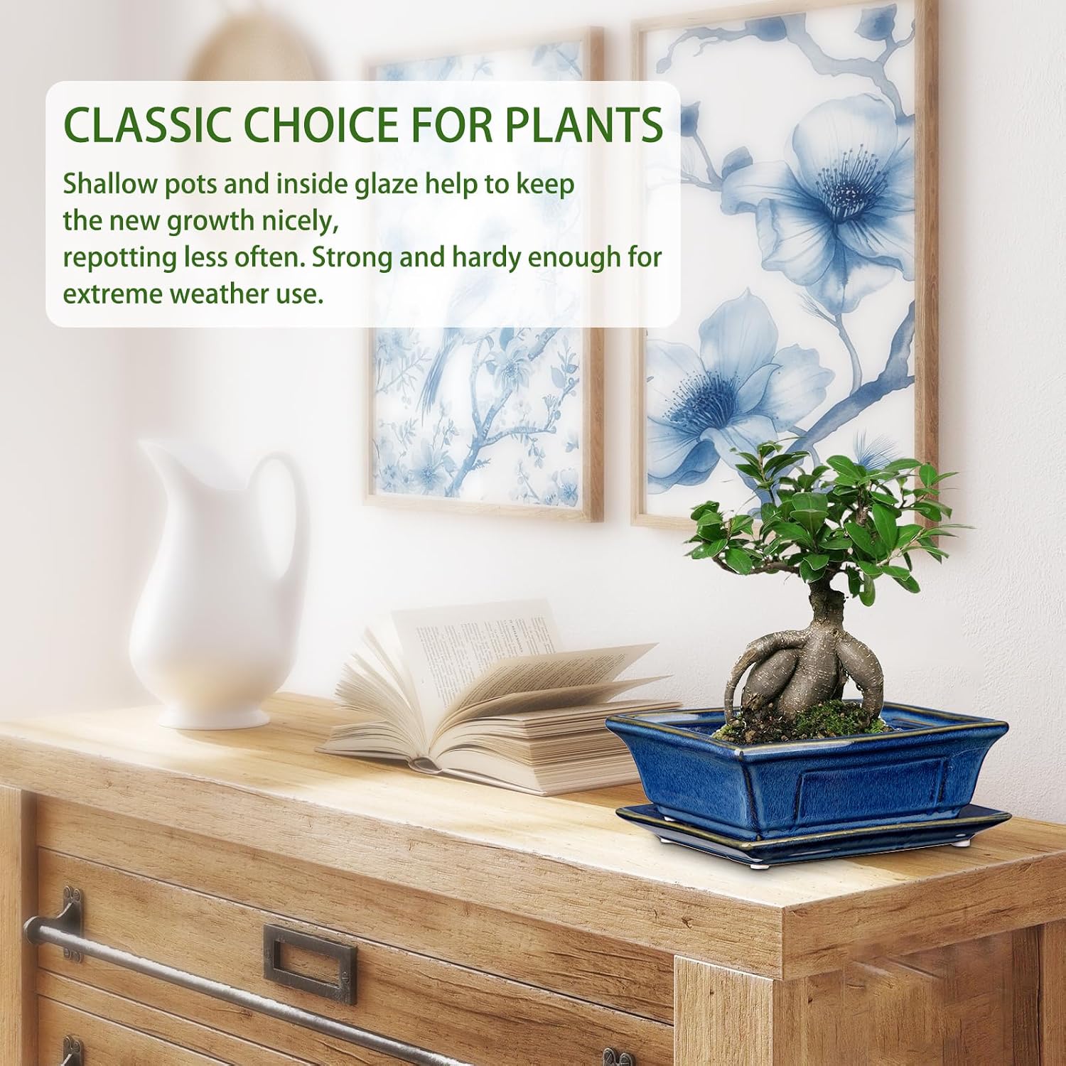 Villa Como Set of 2 Bonsai Pots with Drainage Tray, 7.5" Bonsai Planters | Blue Glazed Ceramic Bonsai Tree Pots