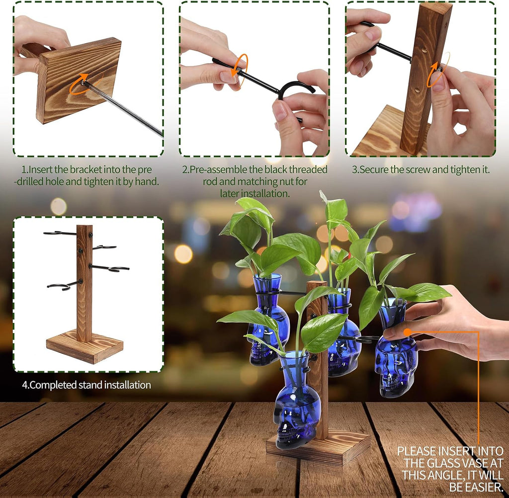 Plants Propagation Stations Skull Glass Propagation Birthday Gift for Women | Garden Plant Lovers - 4 Skull